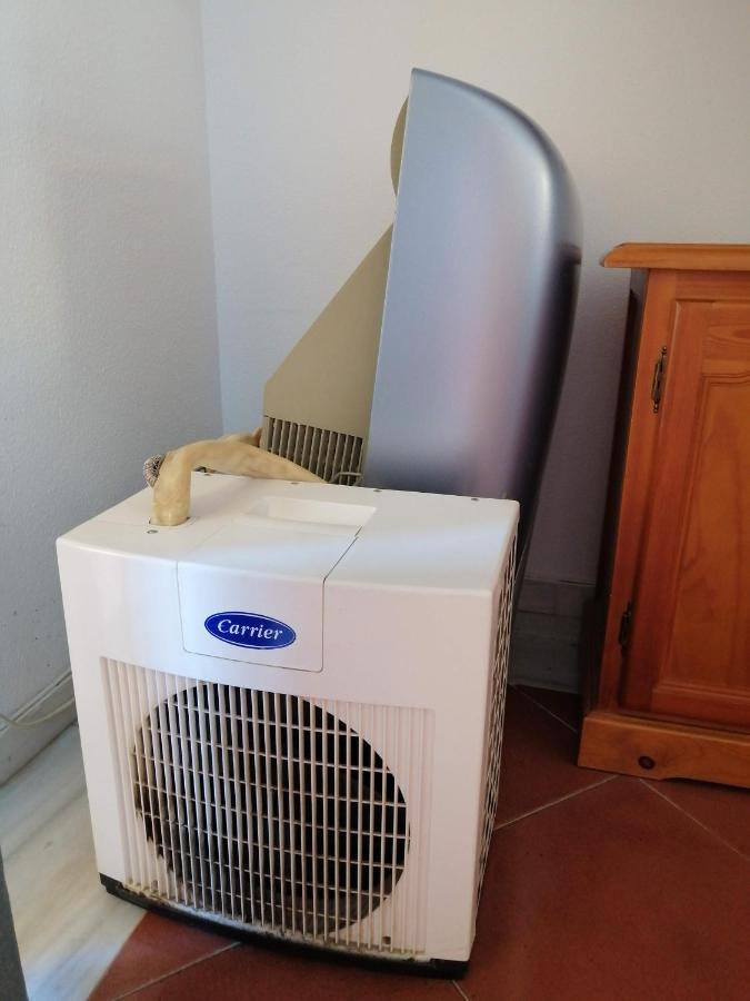 Apartamento Urbanizacion Alcaudon Isla Canela 1A Linea De Playa 아파트 외부 사진